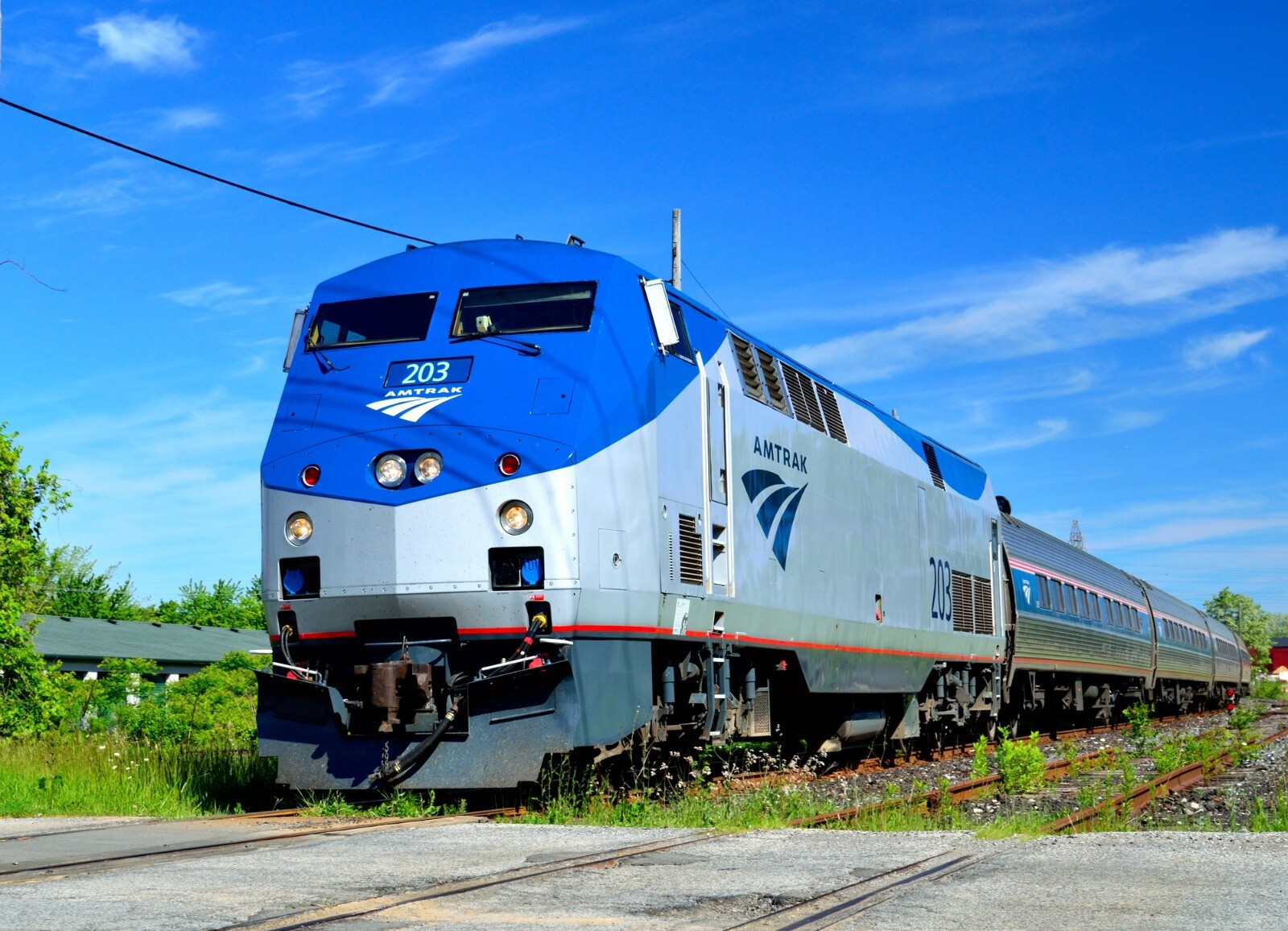Amtrak GE P42DC No. 203 with train 8 x 10 Photo