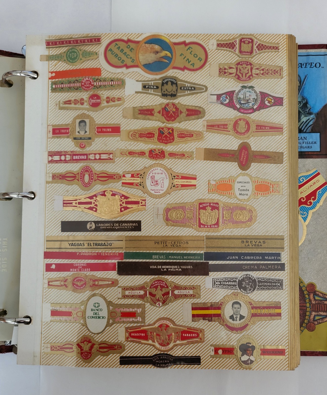 Large Collectible Cigar Band Album Collection - Various Brands & Themes