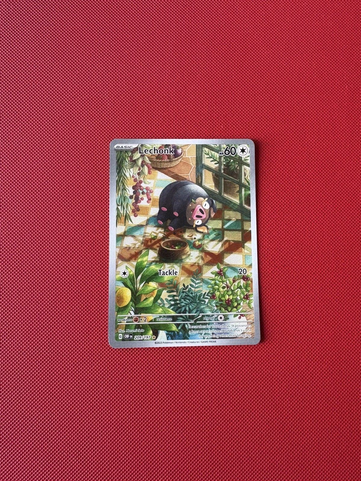 Pokemon Lechonk IR 209/197 Obsidian Flames NM