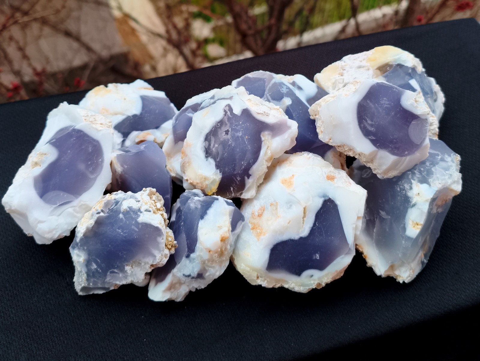 Wholesale Raw Blue Chalcedony 1 kg Rough for Cabbing Lapidary Wholesale Raw Blue Chalcedony 1 kg Rough for Cabbing Lapidary