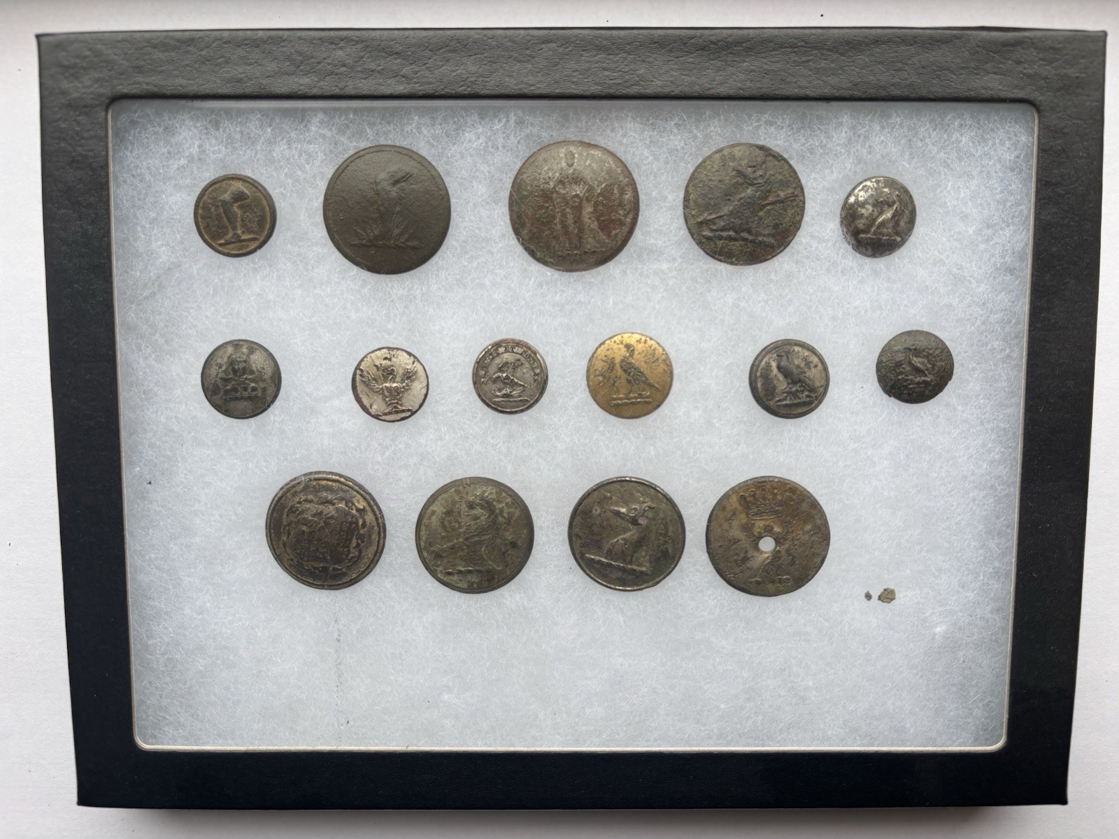 LOT OF 15 ANTIQUE LIVERY BUTTONS IN RIKER CASE