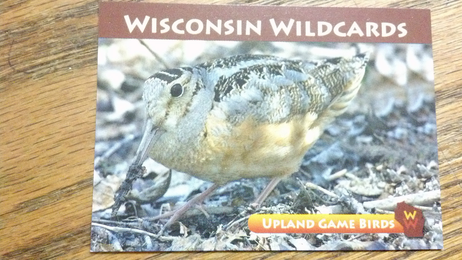 WISCONSIN WILDCARDS, AMERICAN WOODCOCK, UPLAND GAME BIRDS, 3-1/2 WISCONSIN WILDCARDS, AMERICAN WOODCOCK, UPLAND GAME BIRDS, 3-1/2
