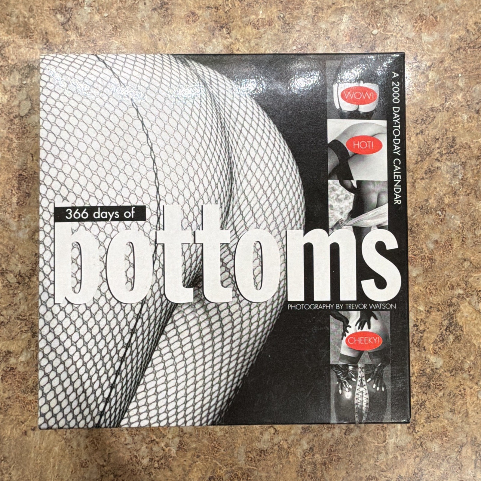Vintage 2000 366 Days of Bottoms Day-to-Day Box Calendar Trevor Watson Ink Group
