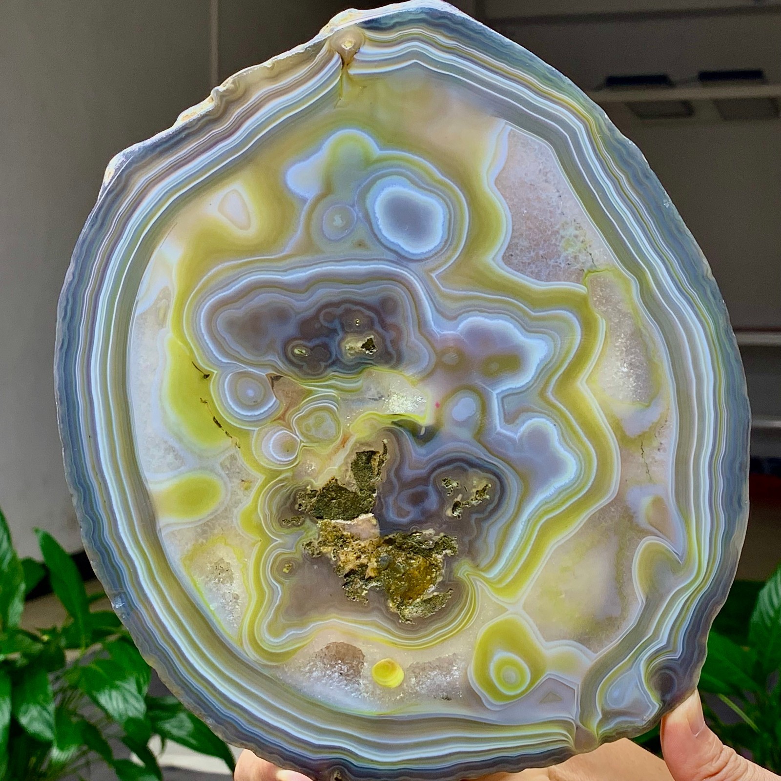 2.65LB Natural Beautiful Agate Geode Druzy quartz crystal mineral healing