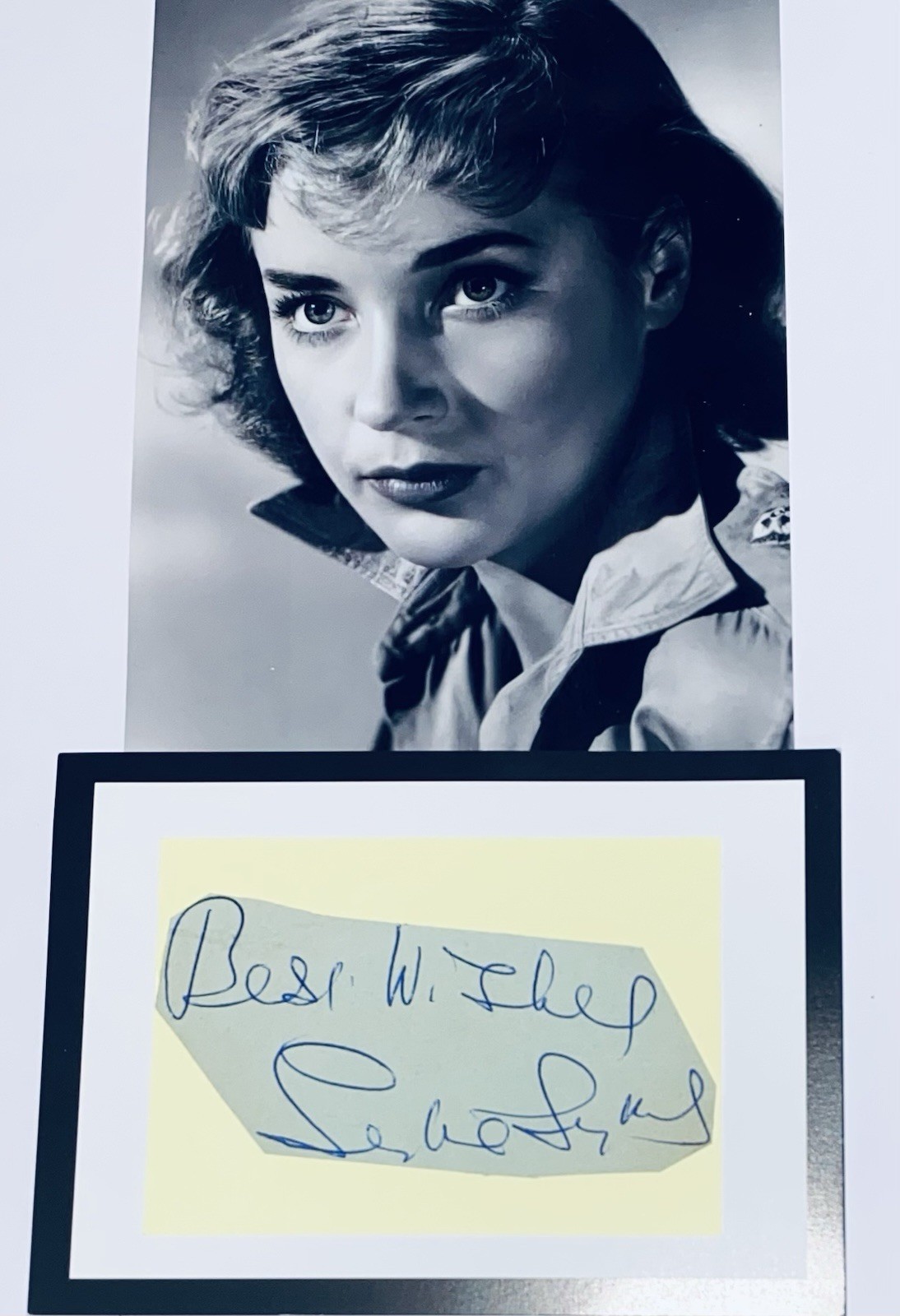 Sylvia Syms English Actress 1934 - 2023 Original 10 x 8 Signature Piece