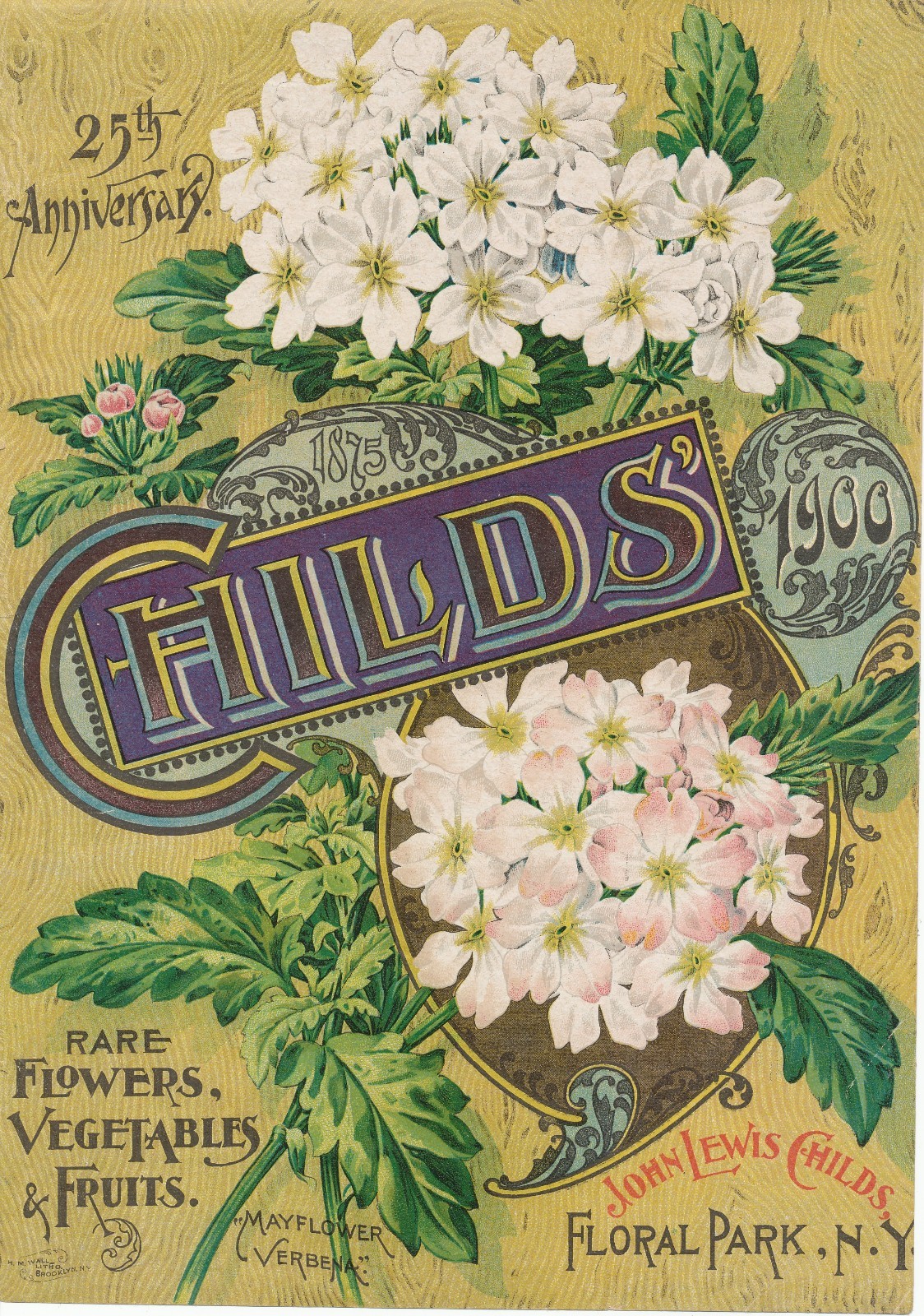 1900 John Lewis Childs Floral Park NY Mayflower Verbena Catalog Cover Ad