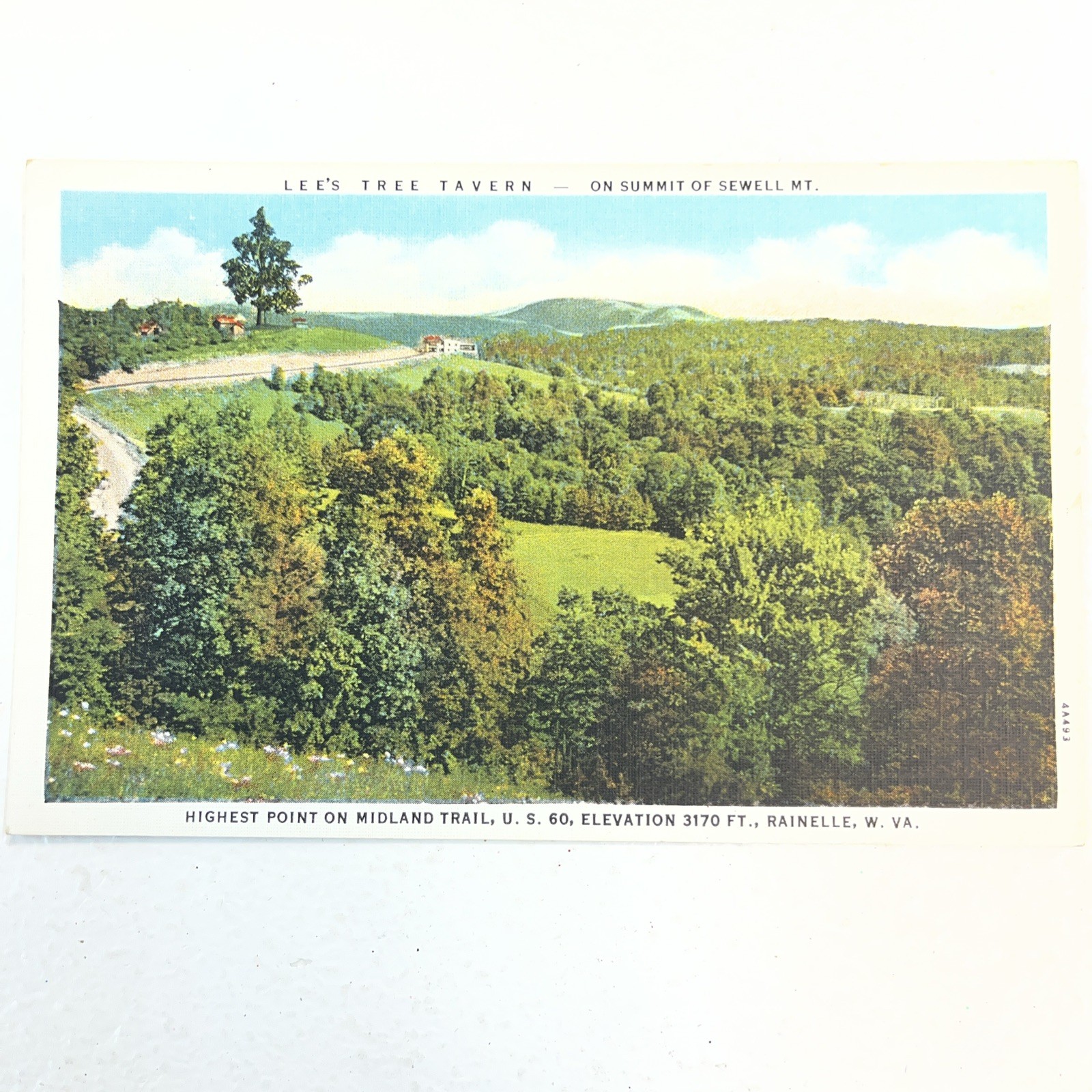 Rainelle, WV: Lee\'s Tree Tavern Sewell Mt. vintage West Virginia Postcard