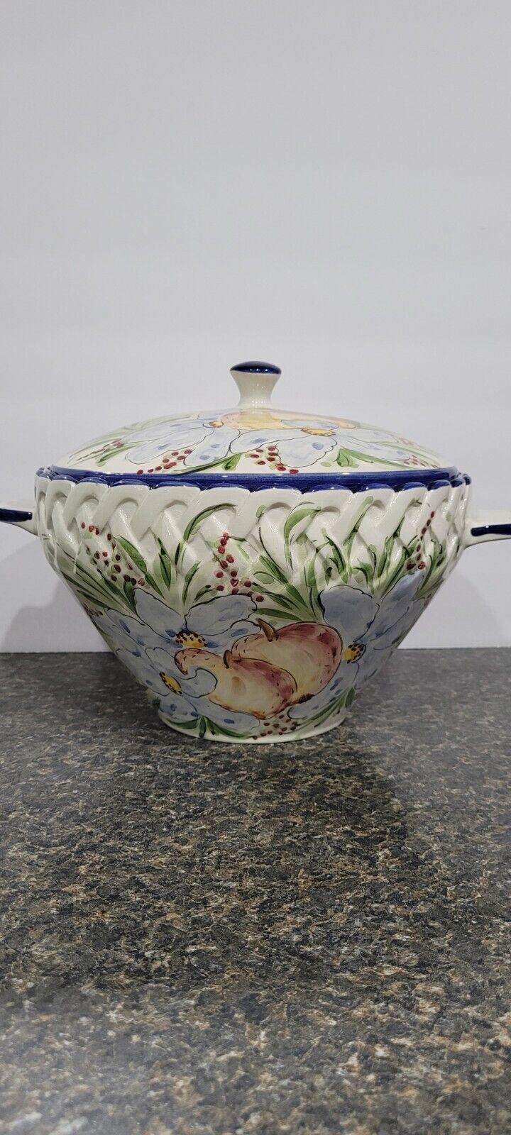 Rare Casafina Made in Portugal Tureen with Lid and Handles Blue Flowers Green 