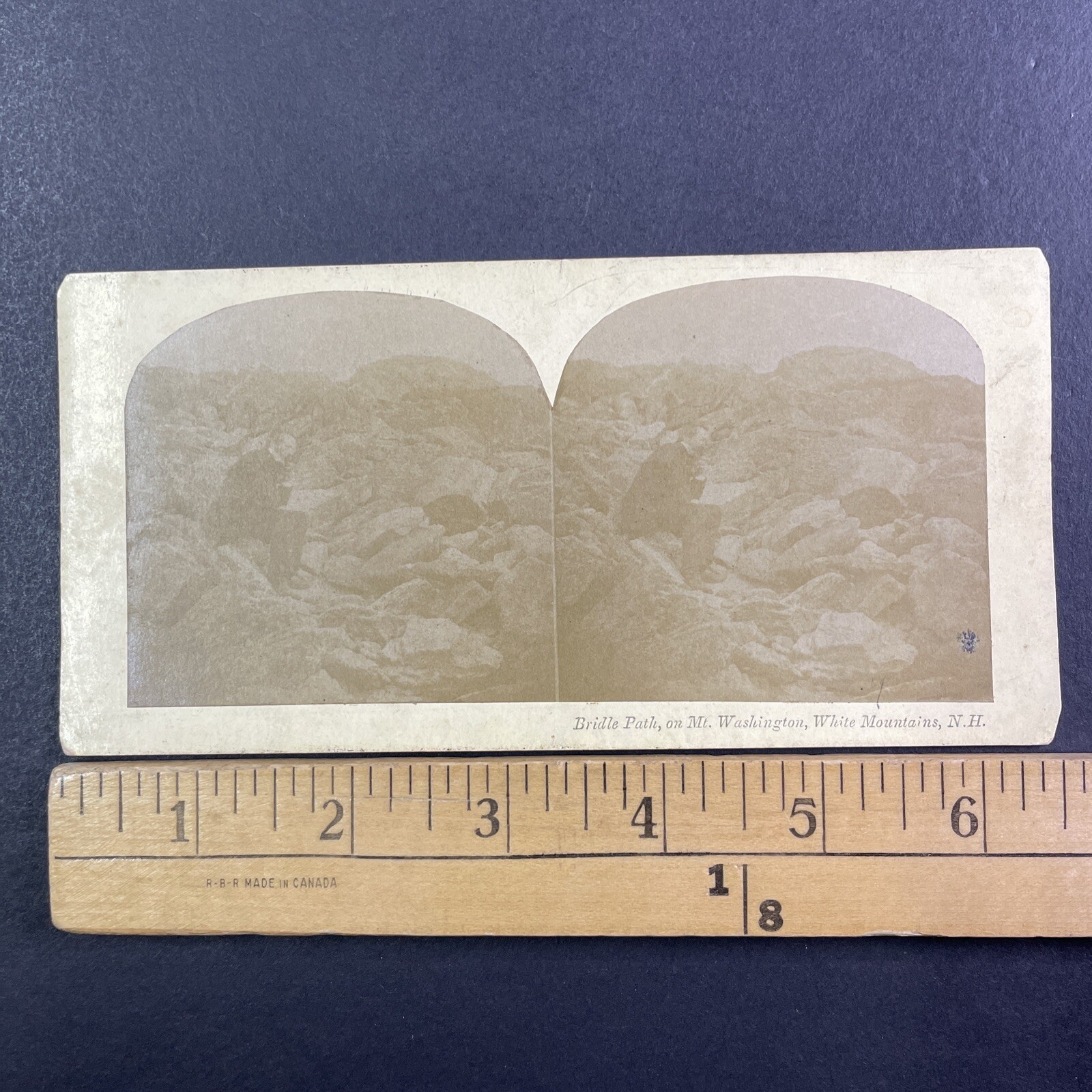 Mt Washington Bridle Path Stereoview American Stereoscopic Co. 1860s New Mt Washington Bridle Path Stereoview American Stereoscopic Co. 1860s New
