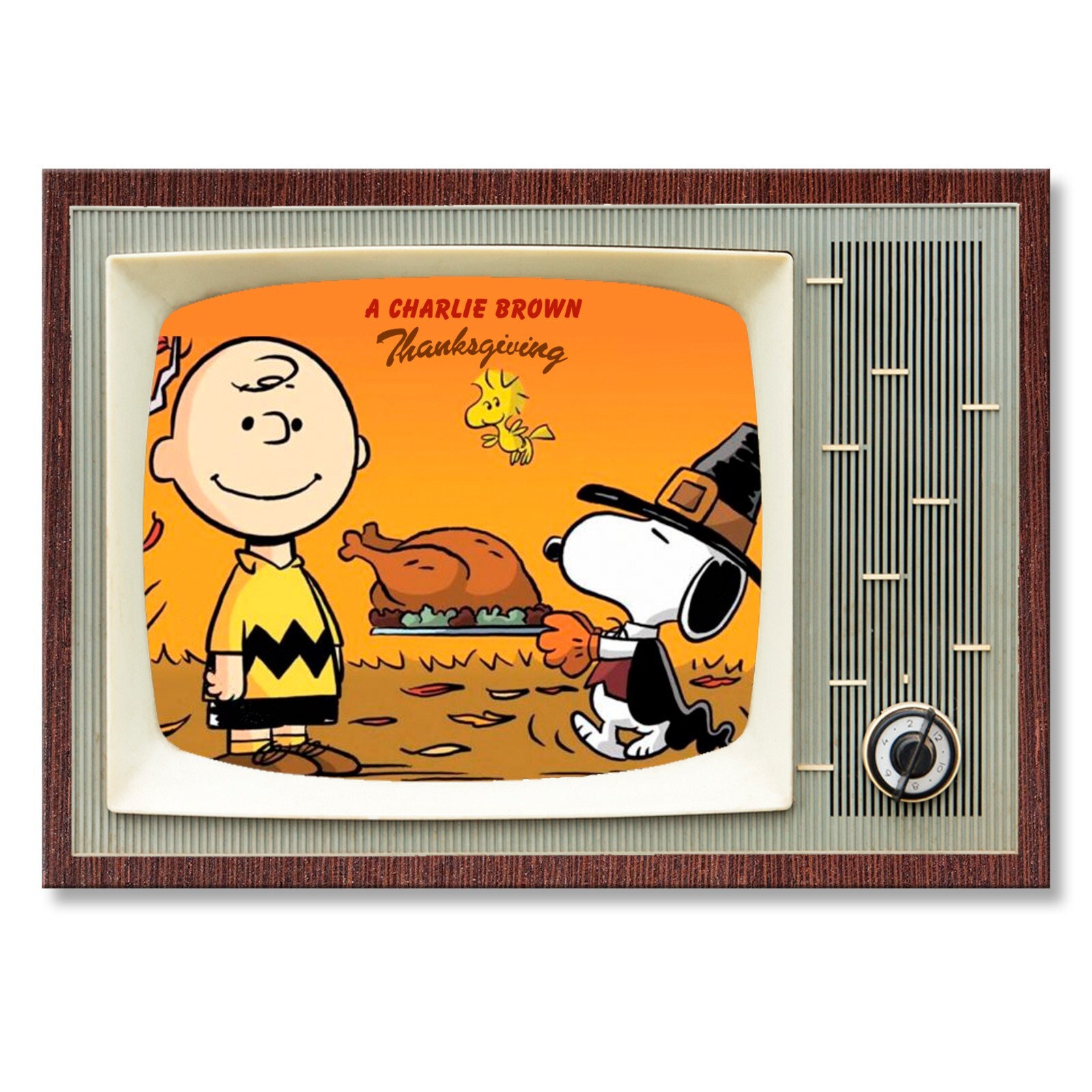 A CHARLIE BROWN THANKSGIVING Retro Classic TV 3.5 