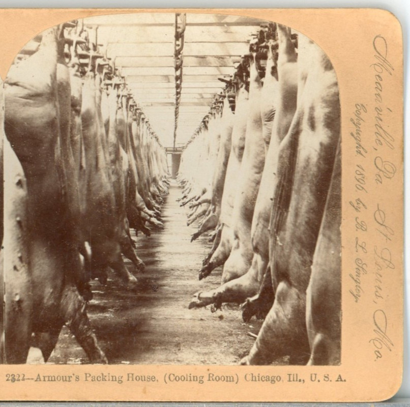 Armour\'s Packing House, (Cooling Room), Chicago, Ill--Keystone Stereoview W96 Armour\'s Packing House, (Cooling Room), Chicago, Ill--Keystone Stereoview W96