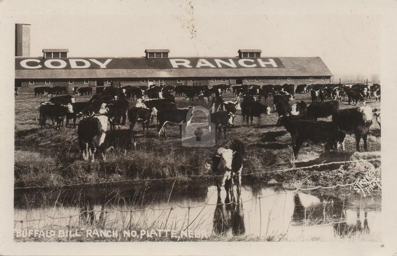 1926 Buffalo Bill Cody Ranch WY Wyoming RPPC Photo Postcard COPY