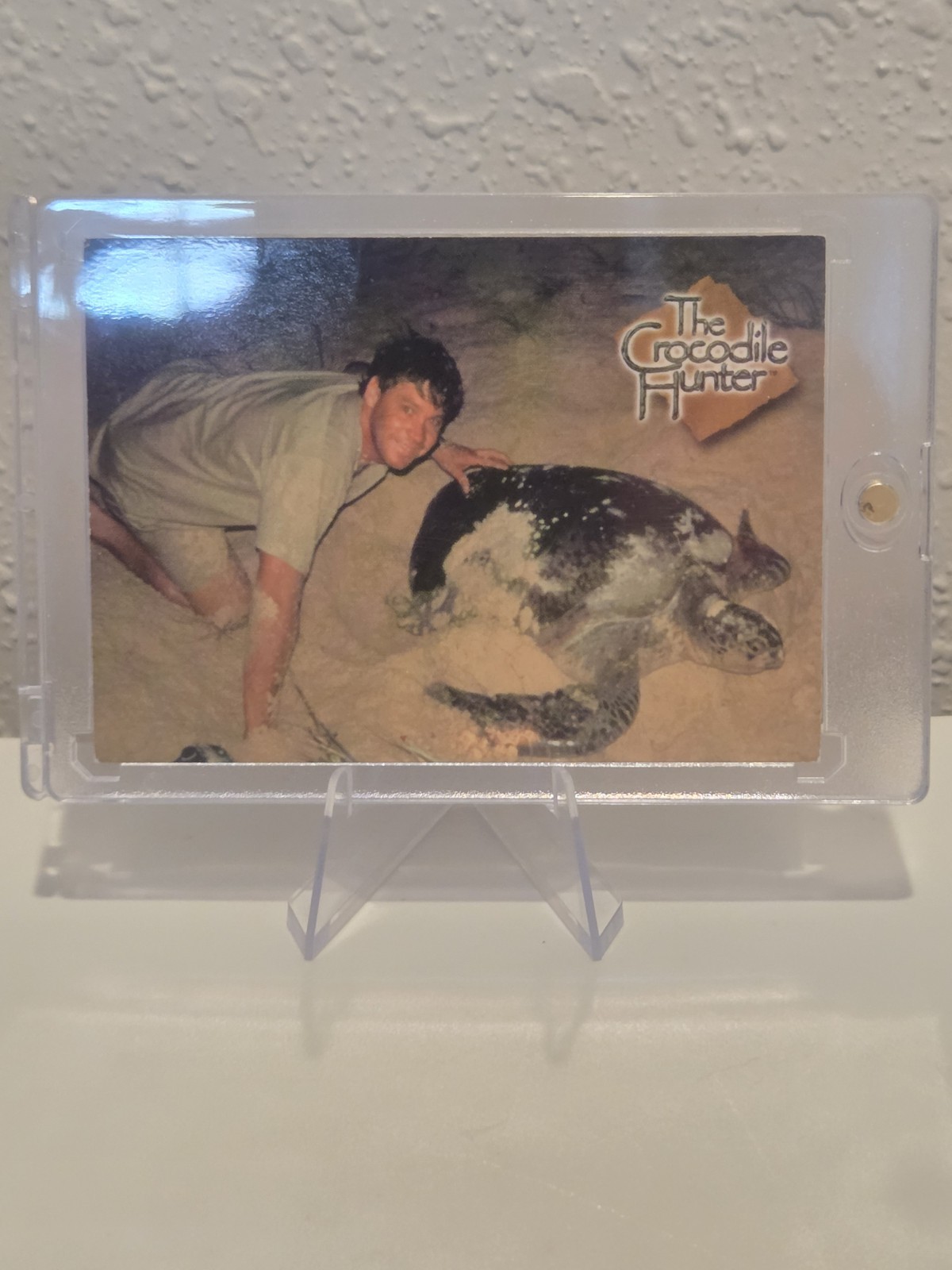 2002 Dart The Crocodile Hunter Steve Irwin Green Sea Turtle #37