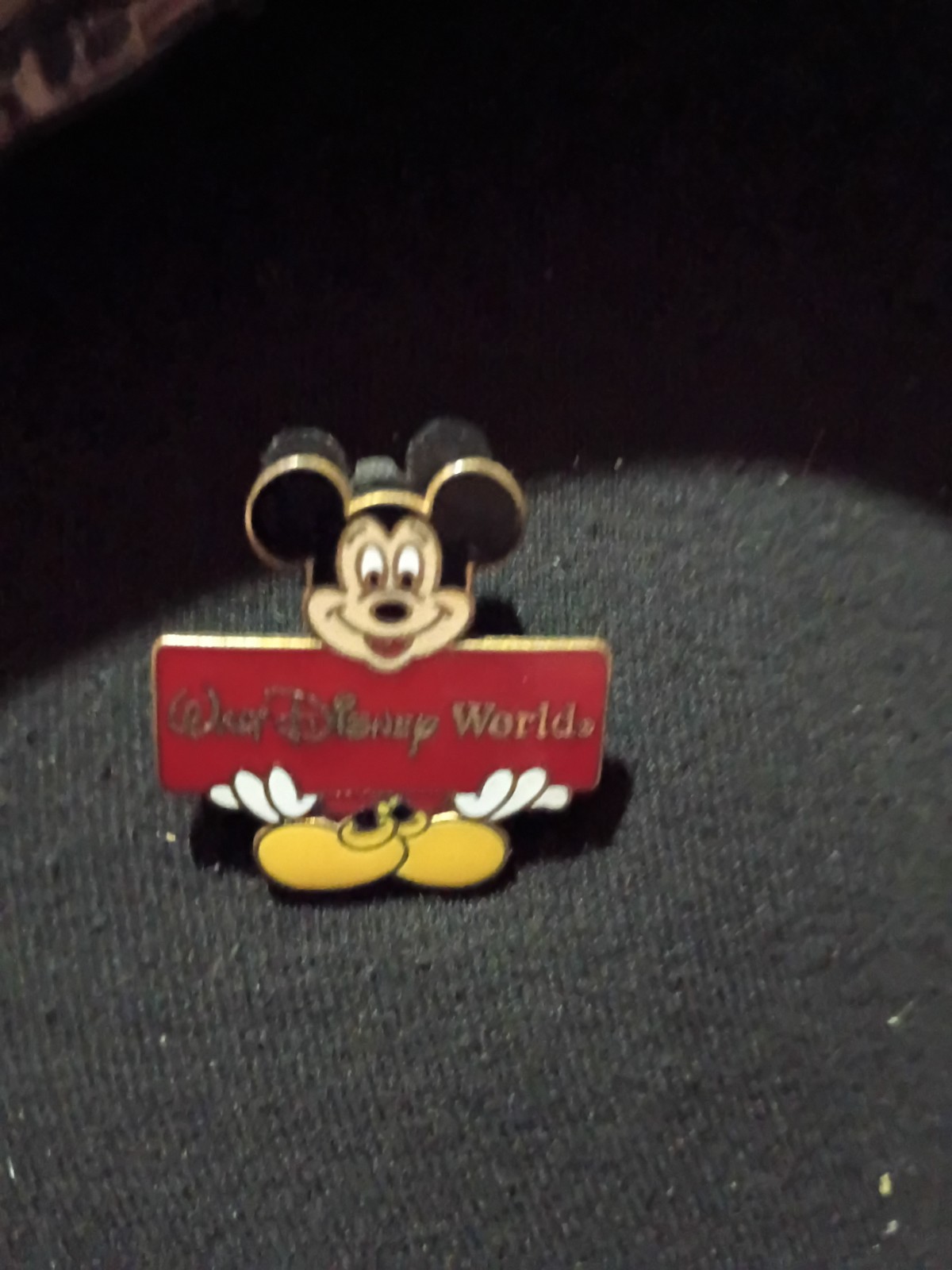Mickey mouse Walt Disney world
