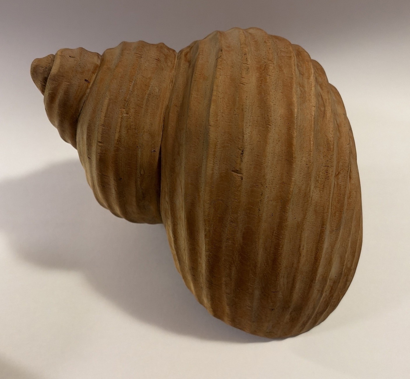 Vtg Carved Wooden Folk Art Nautilus Shell Sculpture 8.5in L x 6in W x 5in T