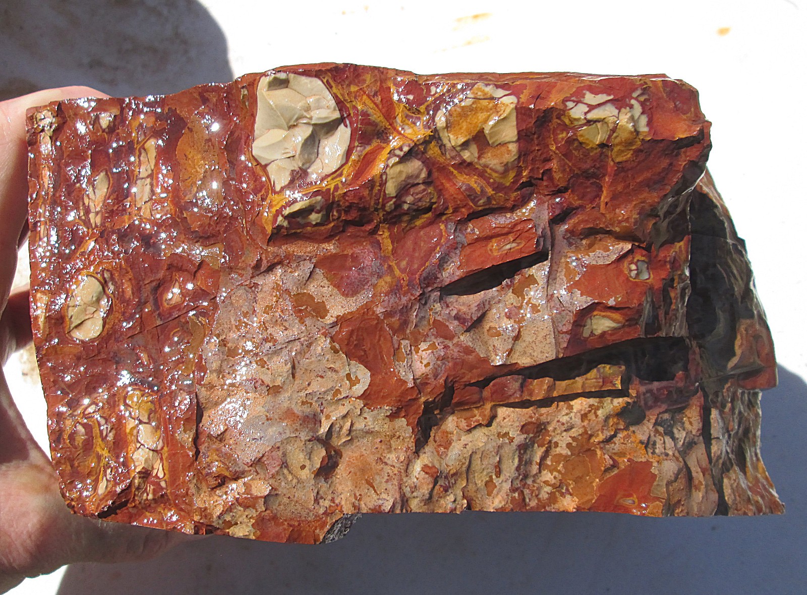 LARGE NOREENA JASPER ROUGH ~ 8-1/2\