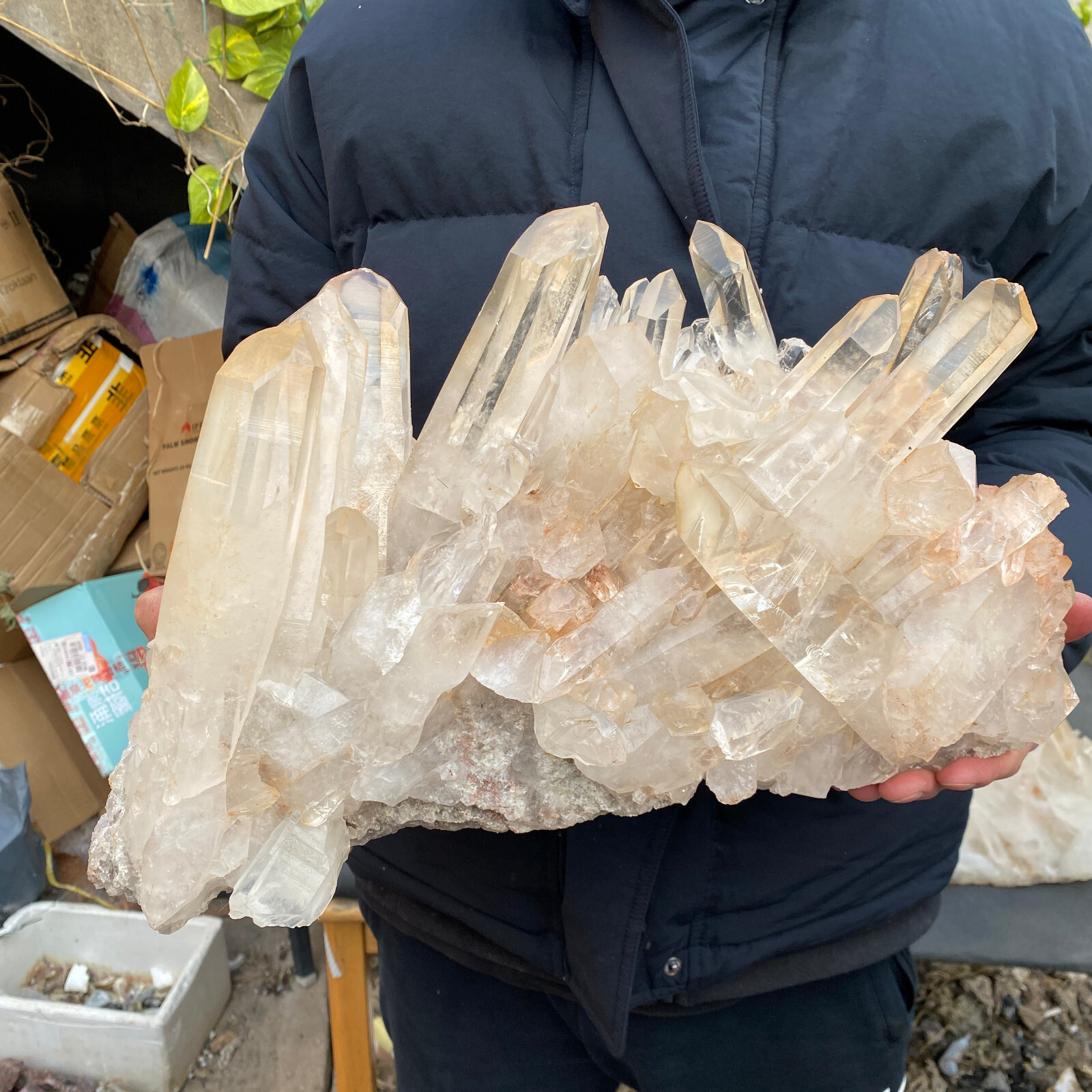 31lb Large Natural Clear White Quartz Crystal Cluster Rough Healing Specimen