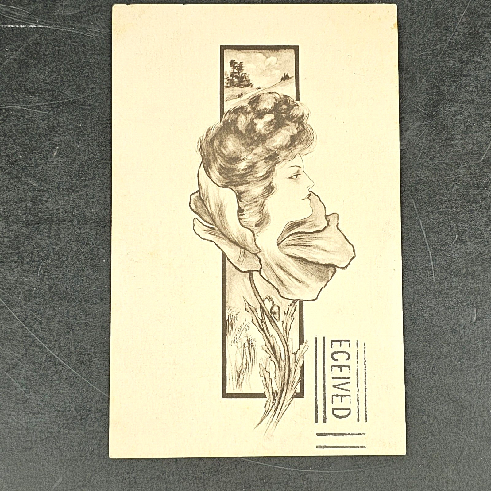 Antique 1908 Cobb Shinn Signed DB Postcard Woman Flower LITHO Postcard - Posted
