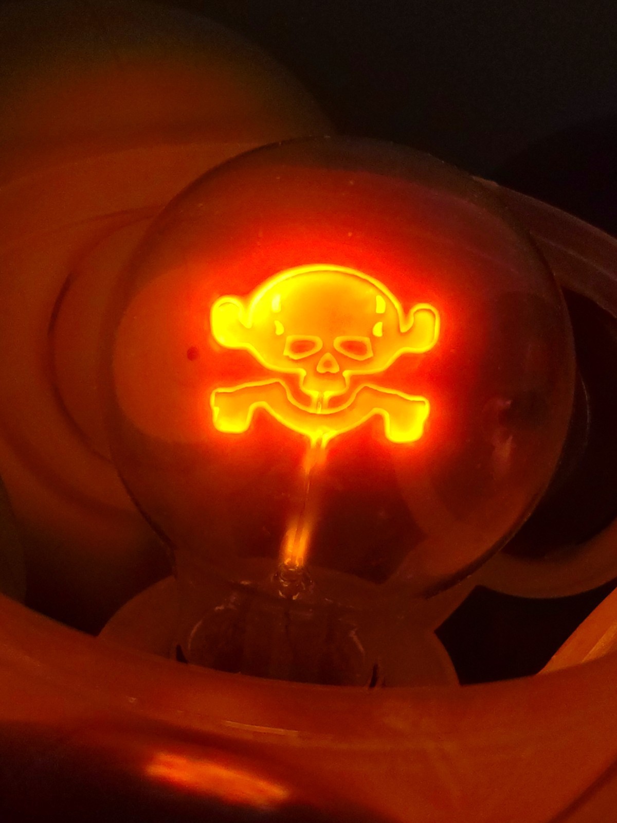 Vintage LightGraphix Image Illuminator Skull & Bones Lightbulb Halloween