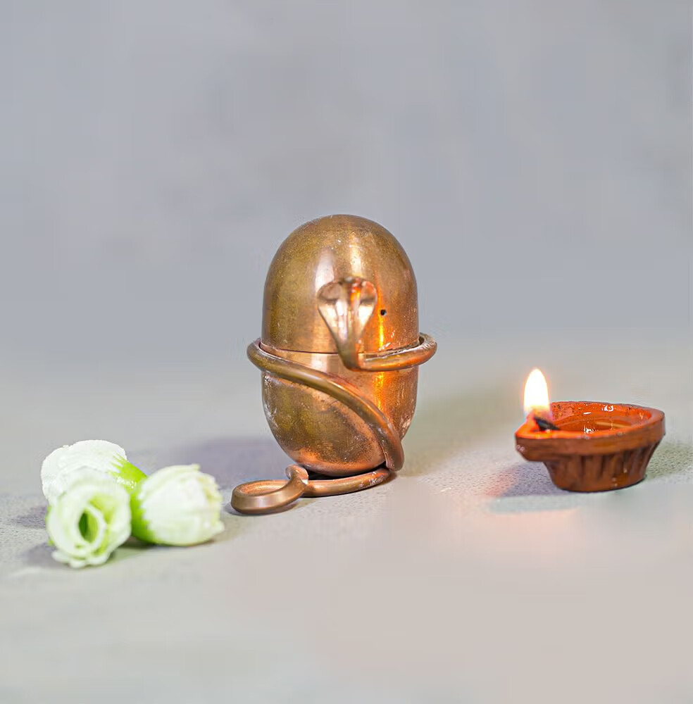ISHA Jeevarasam (Consecrate water at home) USA FREE DELIVERY ISHA Jeevarasam (Consecrate water at home) USA FREE DELIVERY