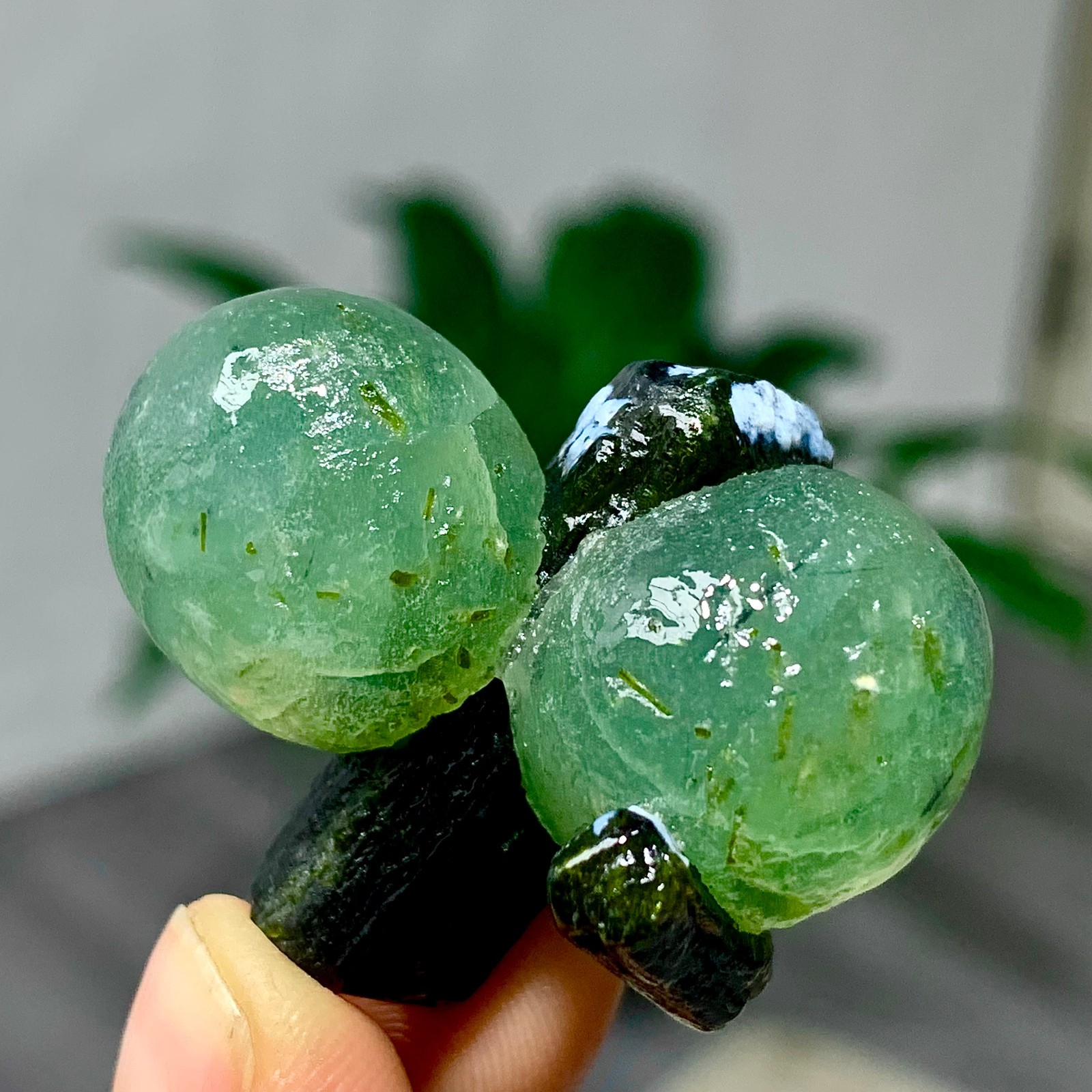 28G Natural green prehnite quartz cluster crystal mineral healing