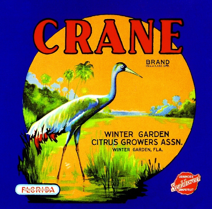 Winter Garden Florida Crane - Blue Orange Citrus Fruit Crate Label Art Print