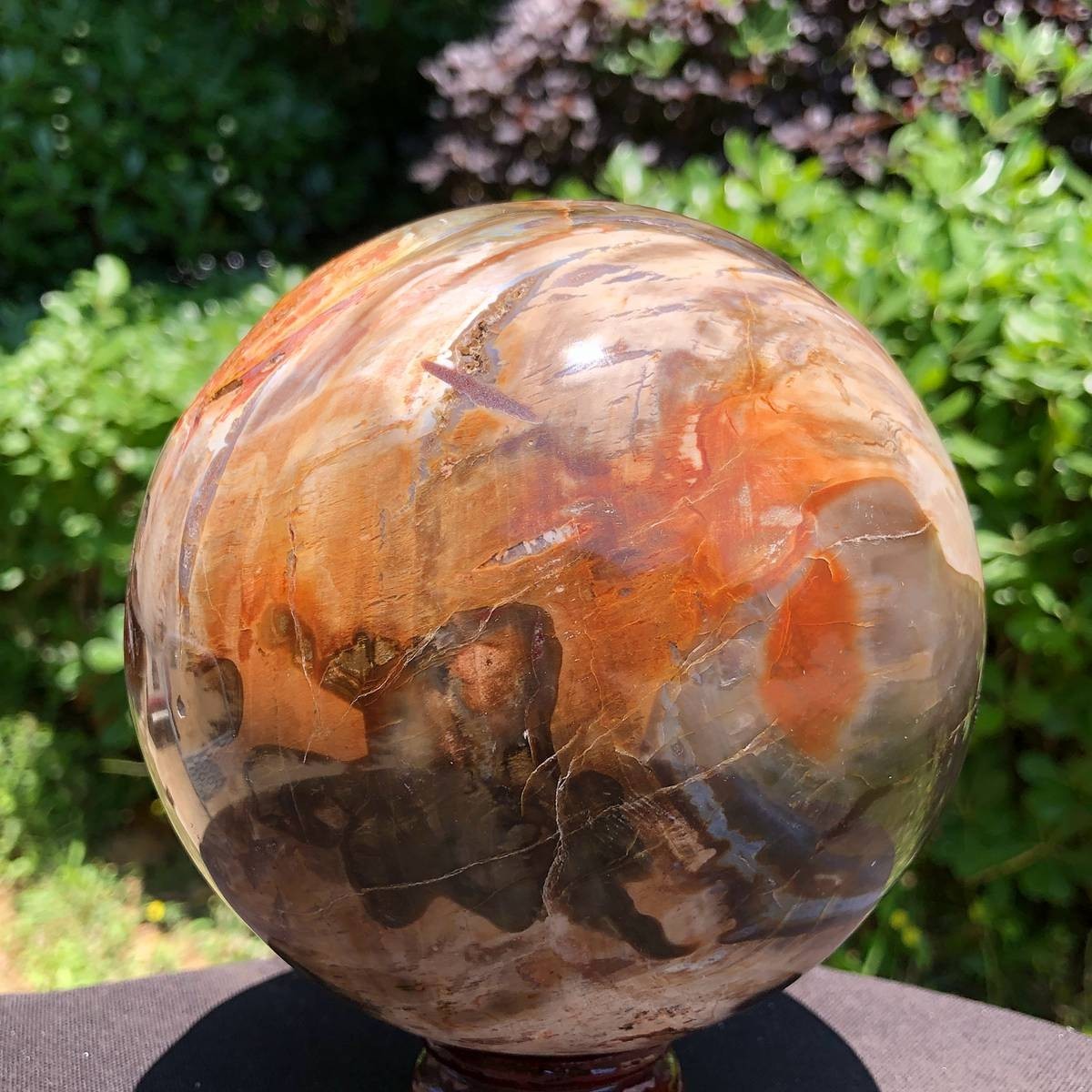 5.5 LB Large Natural Petrified Wood Agate Sphere Crystal Healing Specimen 5654