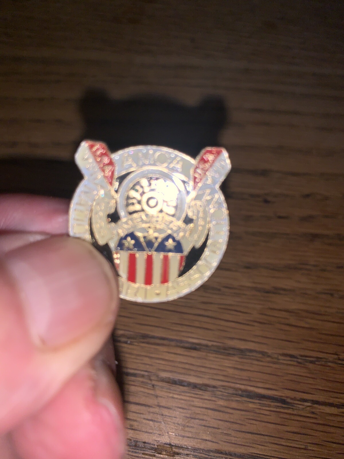 ViINTAGE AMOA- USA NATIONALl DART ASSOC. LAPEL PIN- GOOD DARTS