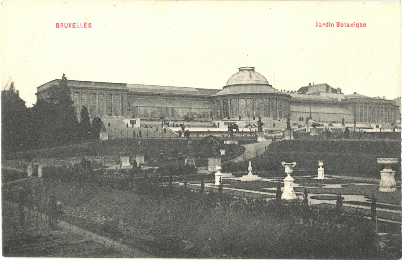 Brussels Belgium Jardin Botanique Botanical Garden Divided Back Postcard c1910