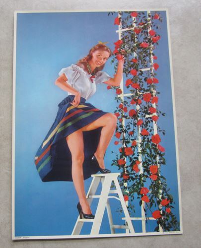 Vintage 1960\'s STEPPIN - Roses - Pinup Calendar Print - J.S.I.