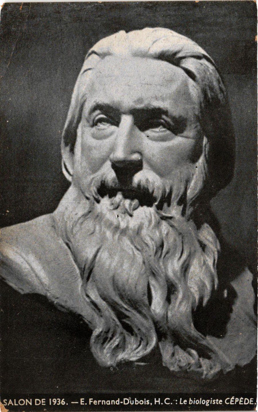 Old postcard AK Salon 1936 E. FERNAND-DUBOIS Le biologiste CEPEDE (706812)