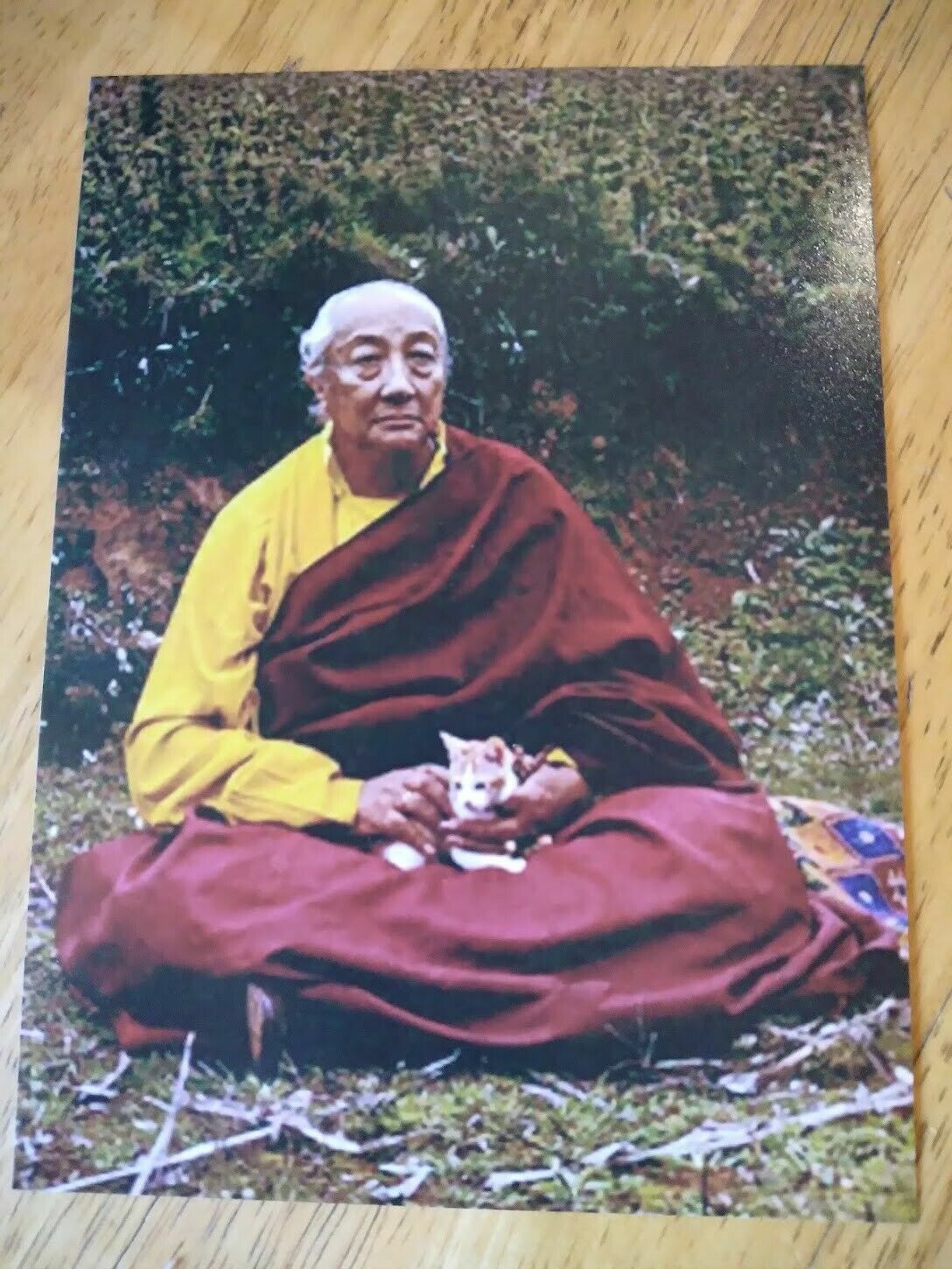 RARE WONDERFUL PHOTO DILGO KHYENTSE RINPOCHE HOLDING A CAT 4