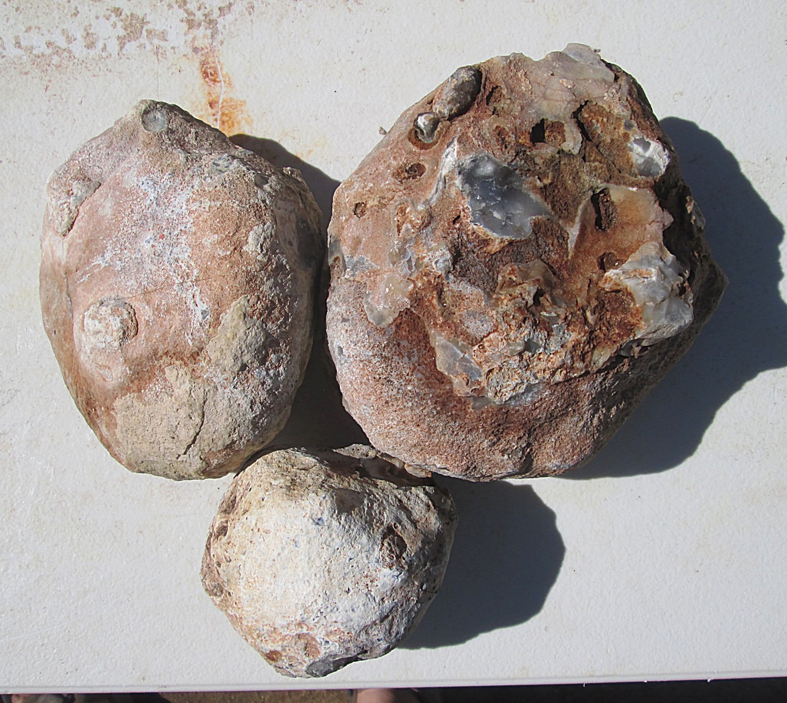 AGATE / CHERT / CHALCEDONY NODULE ROUGH LOT ~ 9 lbs 0 ozs ~ 3 NODULES