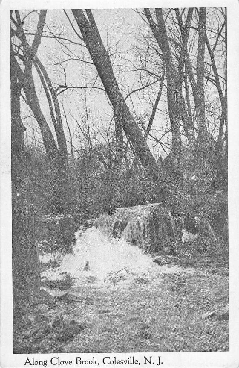 Colesville New Jersey Along Clove Brook Antique Postcard K57698