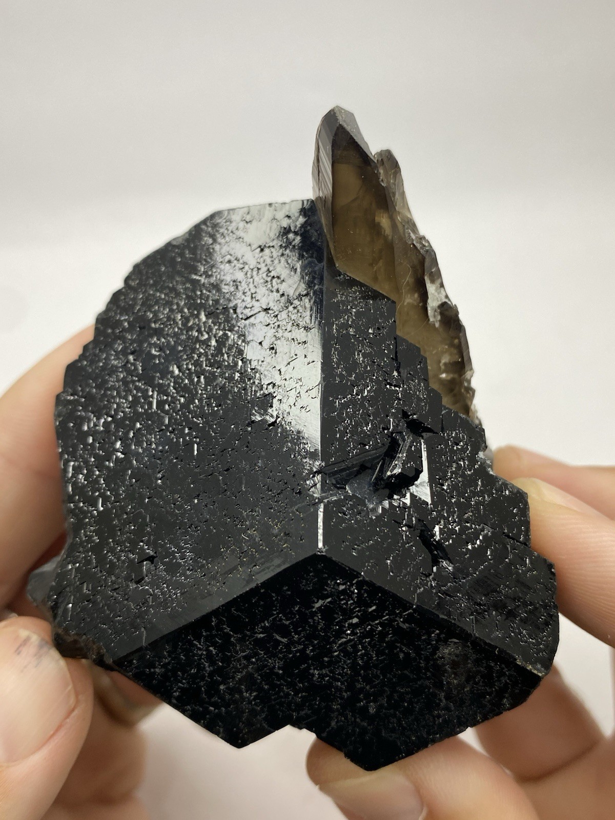 Huge Schorl Tourmaline & Smoky Quartz - Erongo - 
