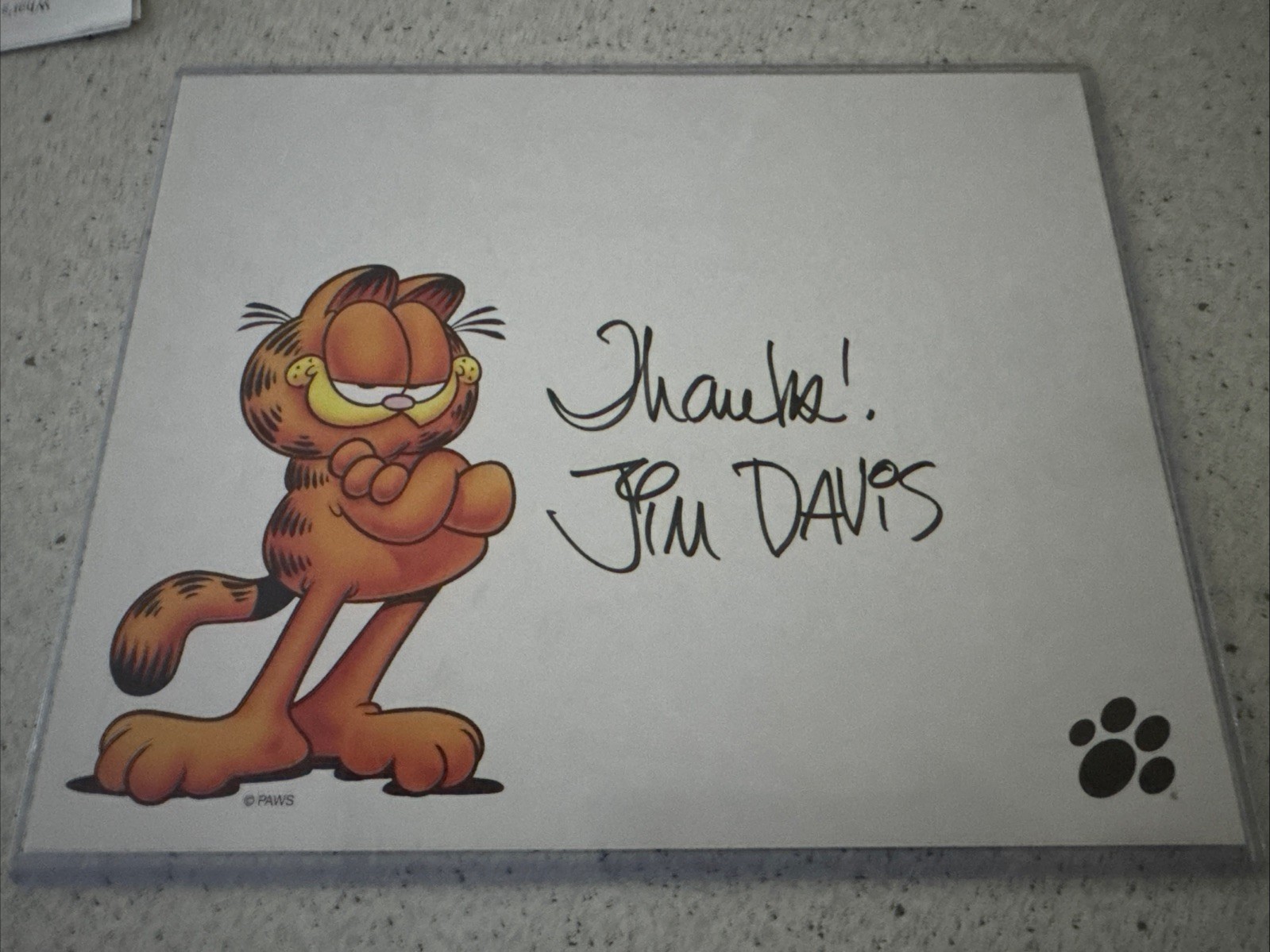 Genuine GARFIELD CARTOONIST JIM DAVIS Signed Autographed Promotional Mailer 8x10