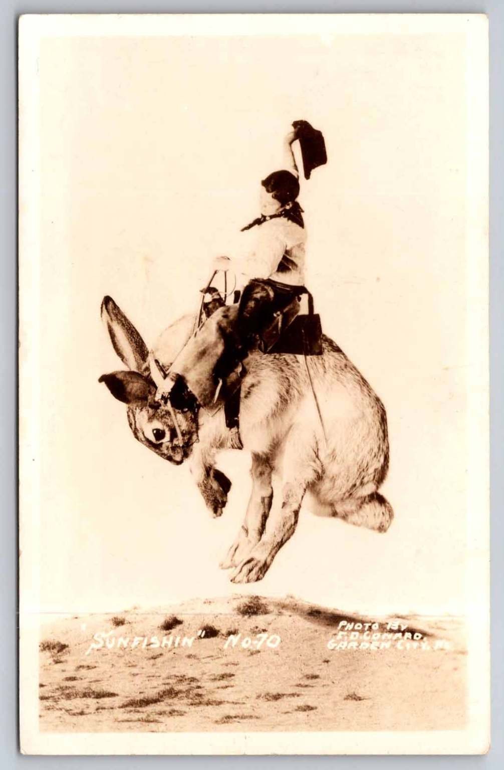 Vintage RPPC Cowboy Riding Giant Jackrabbit Suntishin' Garden City Kansas