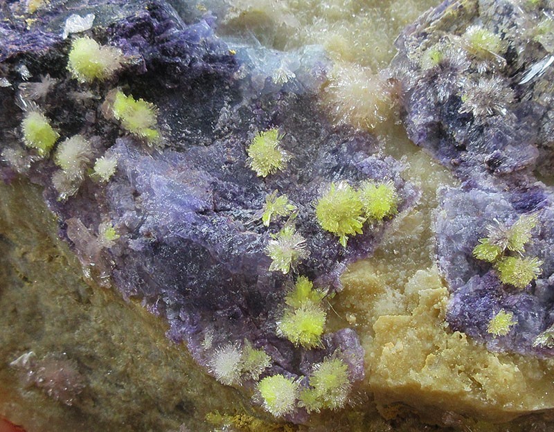14.6cm 1.26LB DOUBLE FACE flowery Carlhintzeite&Creedite&Fluorite crystal