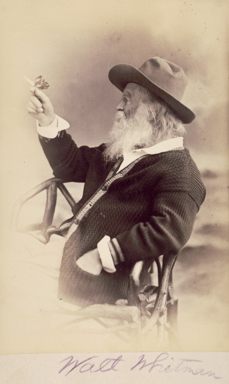 Walt Whitman - Influential American Poet - 5 x 7 inch Photo Print