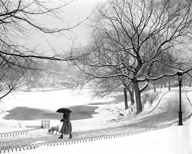 Snow scenes in Central Park New York Old Photo