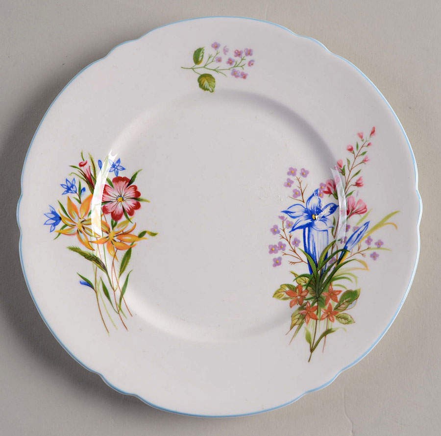 Shelley Wild Flowers  Bread & Butter Plate 666603