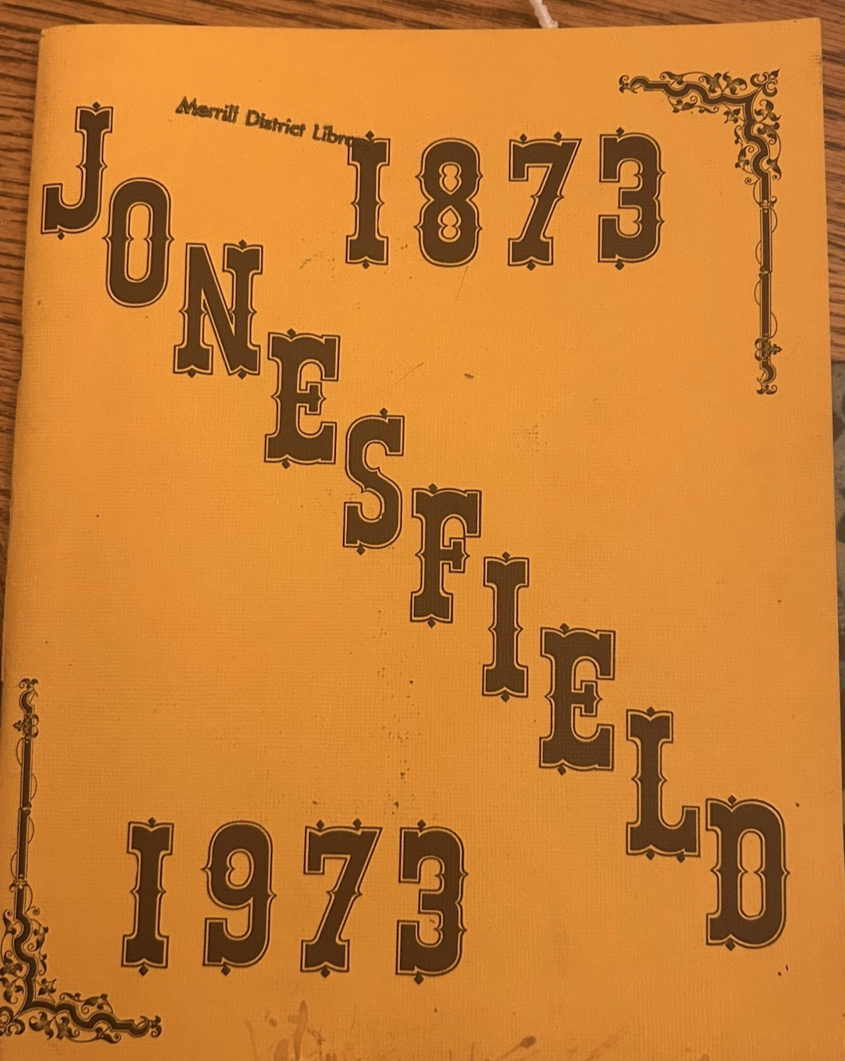 VINTAGE 1873-1973 JONESFIELD TOWNSHIP MICHIGAN CENTENNIAL BOOK MERRILL HISTORY