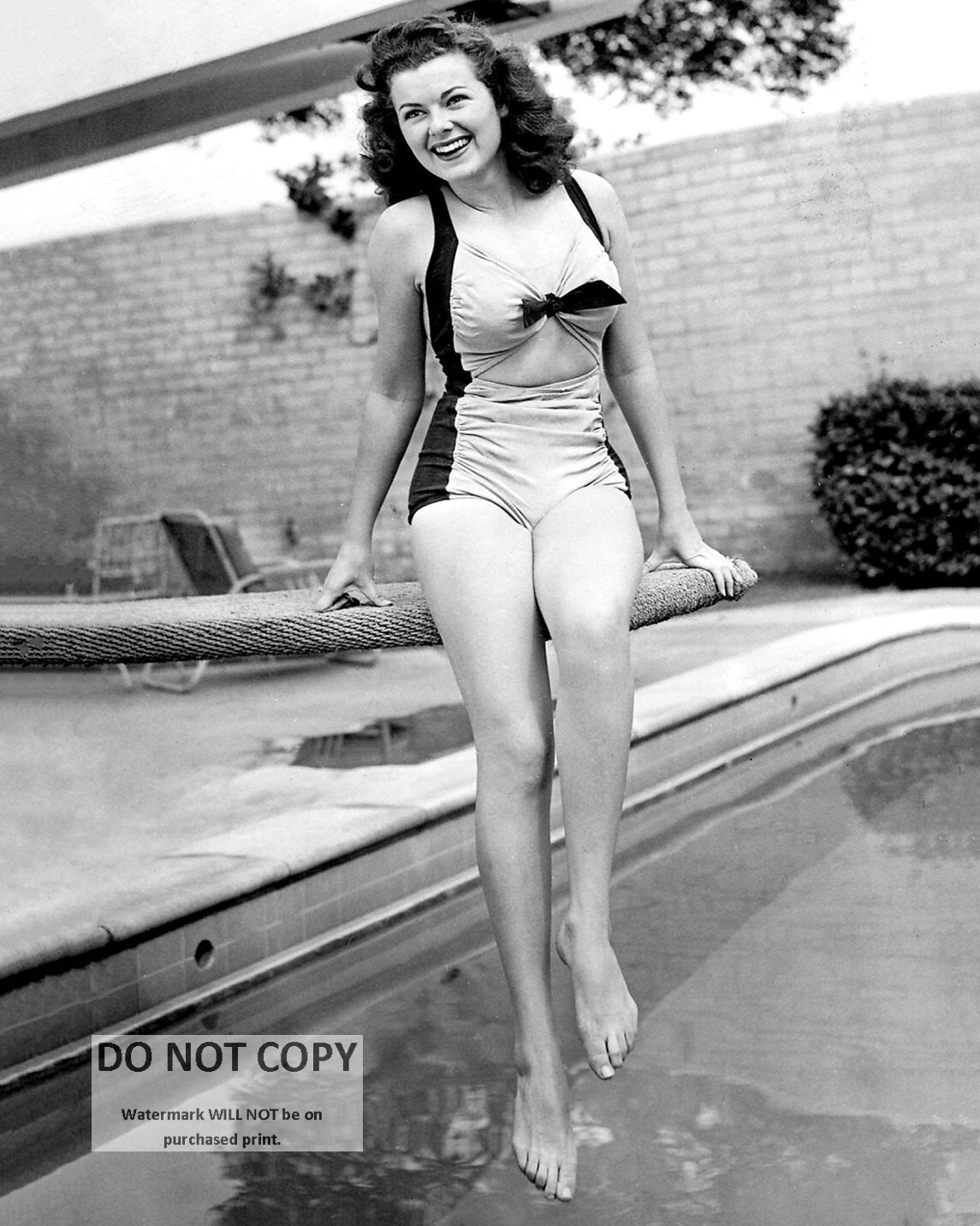 ACTRESS BARBARA HALE PIN UP - 8X10 PUBLICITY PHOTO (DD-203)