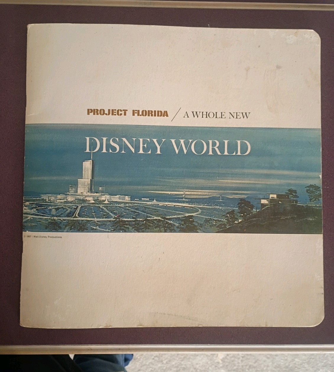 Vintage ~ Very Rare 1967 Project Florida A Whole New Disney World 20 Page Book Vintage ~ Very Rare 1967 Project Florida A Whole New Disney World 20 Page Book