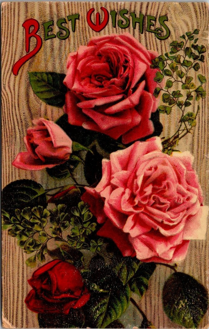 Antique Greeting Postcard Best Wishes Red Pink Rose c1910