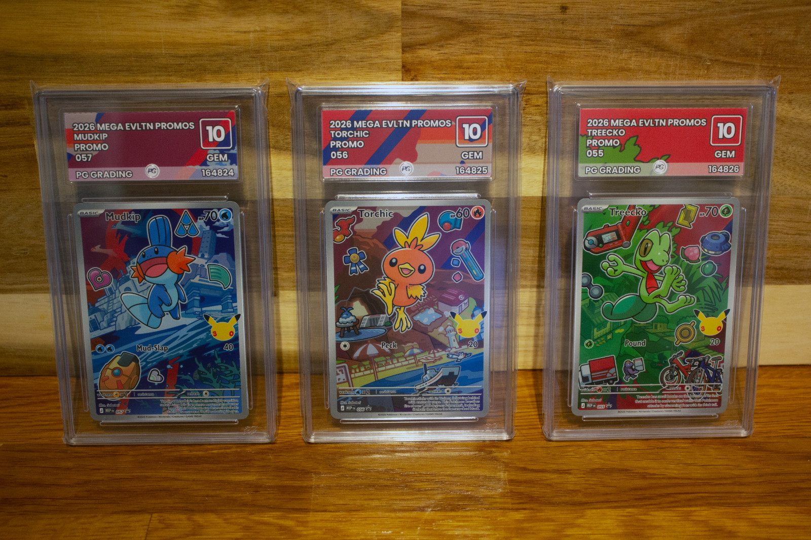 PG Grading GEM 10 First Partner Series 3 Pokemon - Treecko Mudkip Torchic PG Grading GEM 10 First Partner Series 3 Pokemon - Treecko Mudkip Torchic