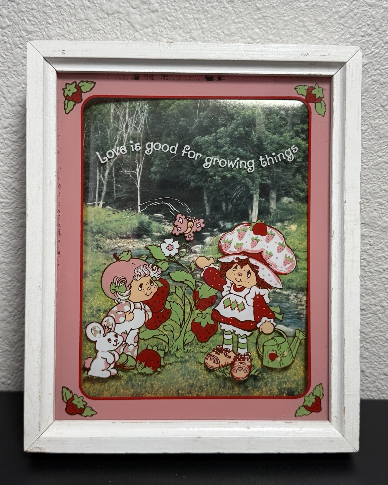 Vintage Strawberry Shortcake Love Is Good For Growing Things Glass Framed Photo