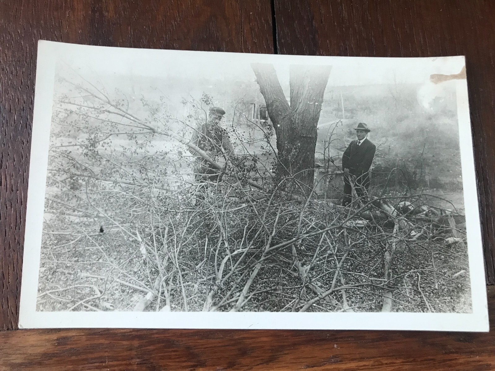 Earney Keeney Tree Cutting Scene Missouri Valley Iowa ?? RPPC Earney Keeney Tree Cutting Scene Missouri Valley Iowa ?? RPPC