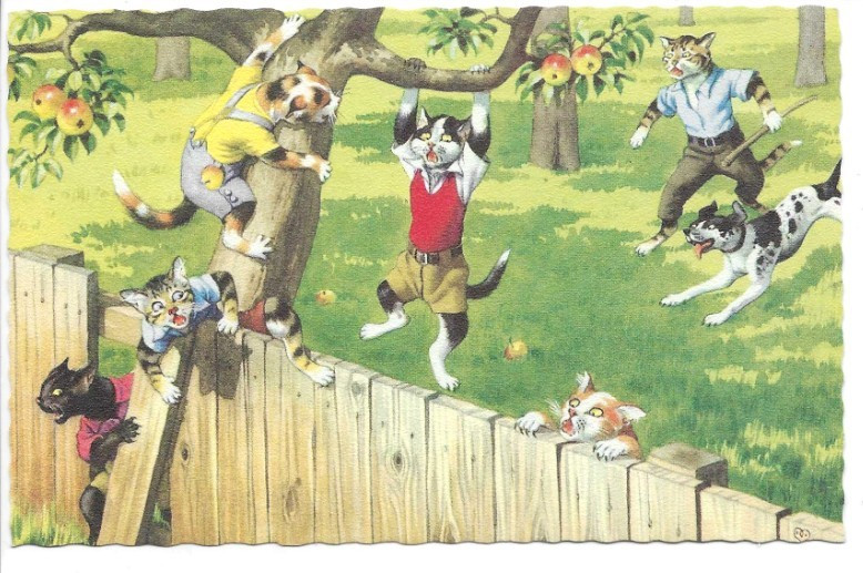 VINTAGE Postcard    ALFRED MAINZER CATS - #4867  -    
