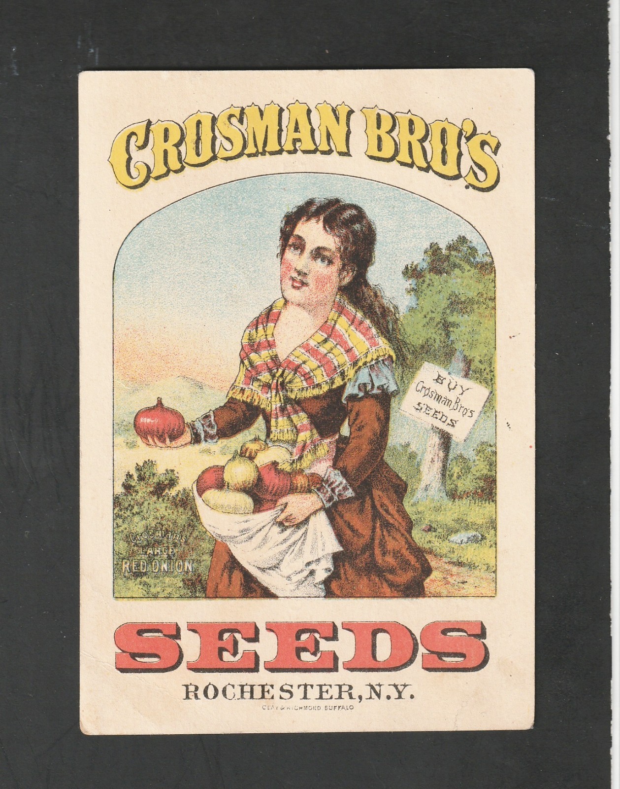 Crosman Bros Seeds Rochester NY 1800\'s Red Onion Farm Girl Victorian Trade Card